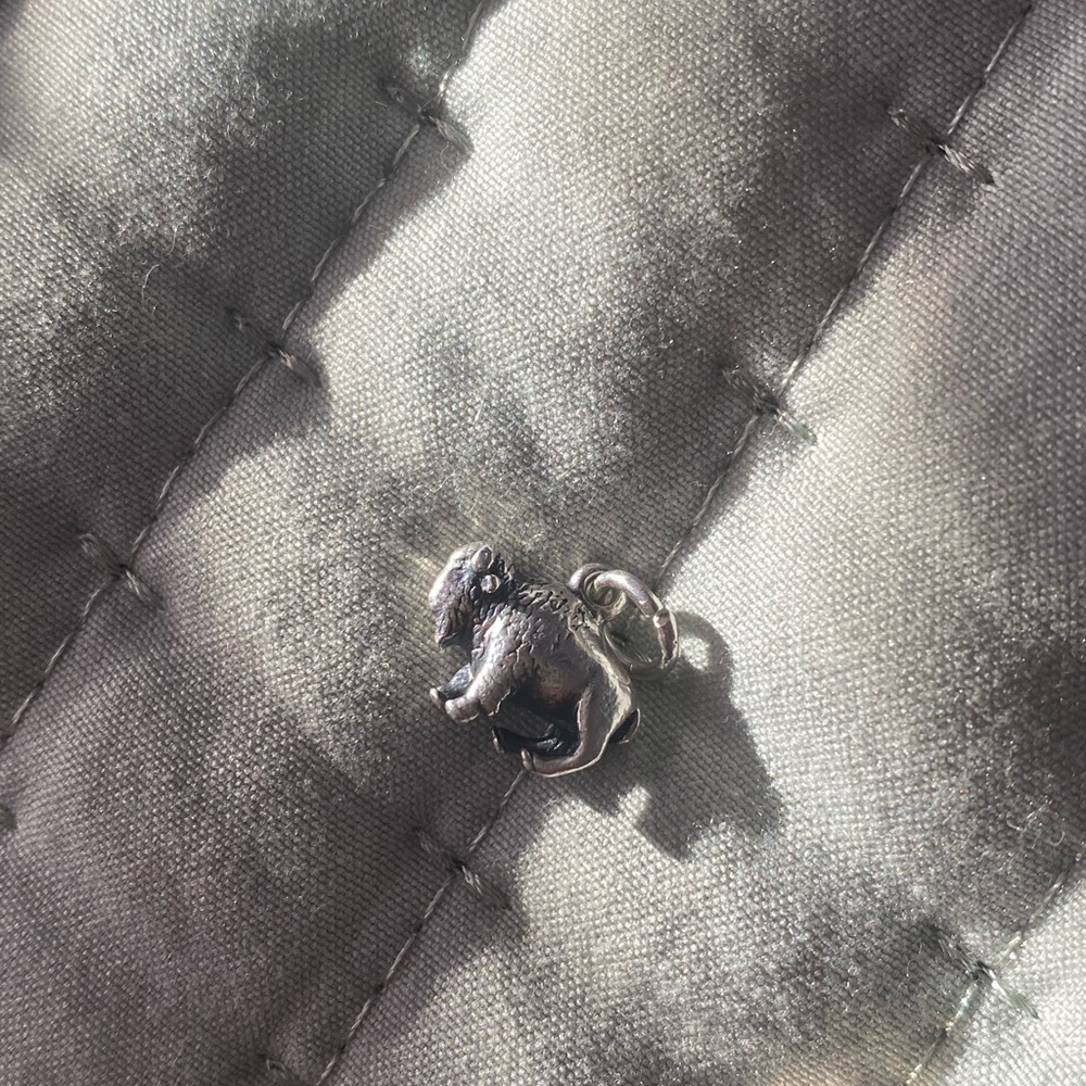 Retured james avery buffalo charm